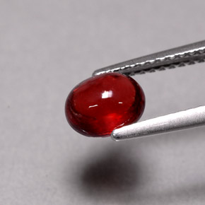 granate almandino Roja Anaranjada natural de 1.57 ct, Corte Óvalo, Translúcido