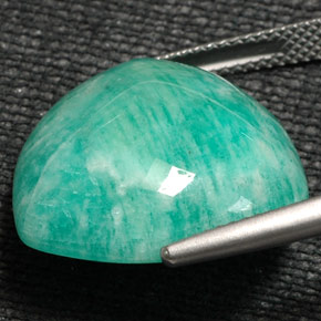 Amazonita verde natural de 16,81 ct, trillón, opaco