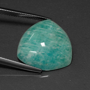 Amazonita verde natural de 15,96 ct, trillón, opaco