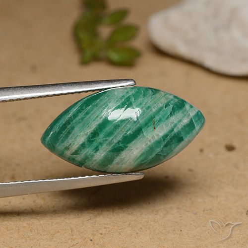 Amazonita verde pino natural de 7,96 ct, marquesa, opaco