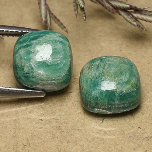 11.34ctw Natural Verde medio Amazonita, Forma Cojín, Opaco