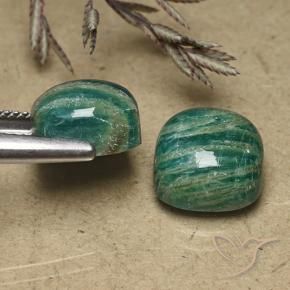 Gemas de Amazonita Verde pino natural de 11.18 ct, Forma Cojín, Opaco