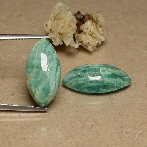 Gemas de amazonita verde pino natural de 17,51 ct, marquesa, opaco