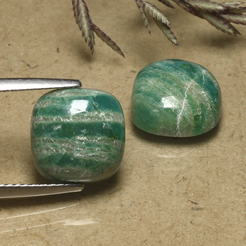 Gemas de Amazonita Verde frío natural de 8.15 ct, Corte Cojín, Opaco