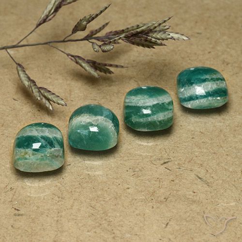 Gemas de Amazonita Verde pino natural de 7.03 ct, Forma Cojín, Opaco