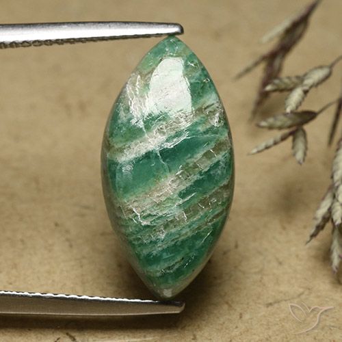 6.79ct Natural Verde pino frío Amazonita, Marquesa, Opaco