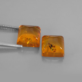 Gemas de ámbar naranja natural de  ct, transparente, transparente / translúcido