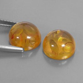 Gemas de ámbar naranja natural de  ct, transparente, transparente / translúcido