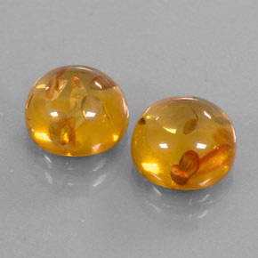 Gemas de ámbar naranja natural de  ct, transparente, transparente / translúcido