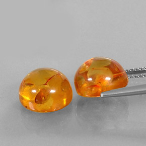 Gemas de ámbar naranja natural de  ct, transparente, transparente / translúcido