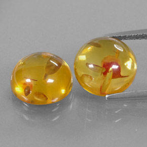 Gemas de ámbar naranja natural de  ct, transparente, transparente / translúcido