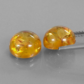 Gemas de ámbar naranja natural de  ct, transparente, transparente / translúcido
