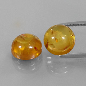 Gemas de ámbar naranja natural de  ct, transparente, transparente / translúcido