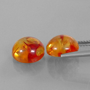 Gemas de ámbar naranja natural de  ct, transparente, transparente / translúcido