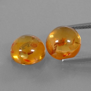 Gemas de ámbar naranja natural de  ct, transparente, transparente / translúcido