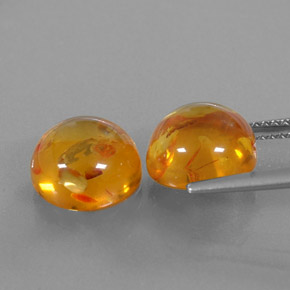 Gemas de ámbar naranja natural de  ct, transparente, transparente / translúcido