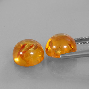 Gemas de ámbar naranja natural de  ct, transparente, transparente / translúcido