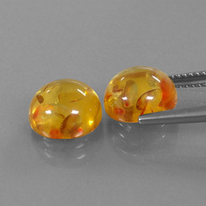 Gemas de ámbar naranja natural de  ct, transparente, transparente / translúcido