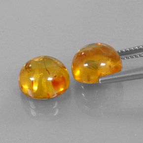 Gemas de ámbar naranja natural de  ct, transparente, transparente / translúcido