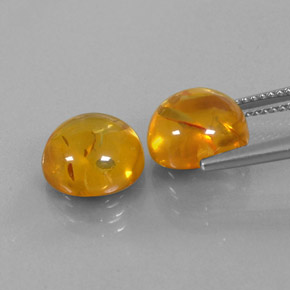 Gemas de ámbar naranja natural de  ct, transparente, transparente / translúcido
