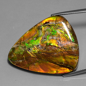 Ammolita multicolor natural de 38,54 ct, trillón, opaco