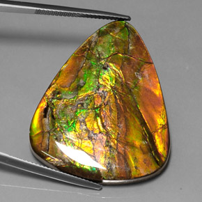 Ammolita multicolor natural de 38,54 ct, trillón, opaco