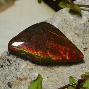 amolita Multicolor natural de 17.03 ct, Elegante, Opaco
