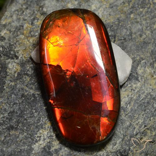 Ammolita multicolor natural de 11,42 ct, forma elegante, opaco