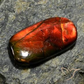 Ammolita multicolor natural de 11,42 ct, forma elegante, opaco