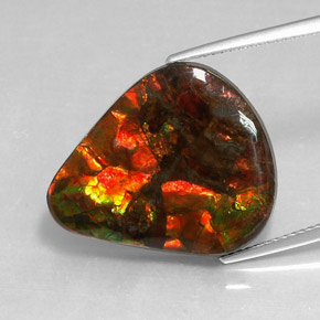 Ammolita multicolor natural de 14,24 ct, forma elegante, opaco