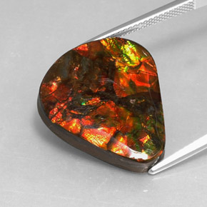 Ammolita multicolor natural de 14,24 ct, forma elegante, opaco