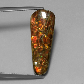 amolita Multicolor natural de 7.59 ct, Forma elegante, Opaco