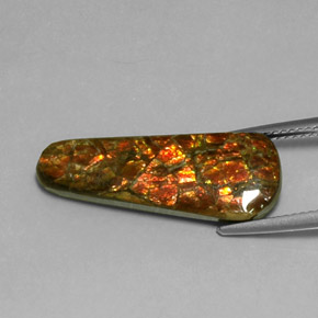 amolita Multicolor natural de 7.59 ct, Forma elegante, Opaco