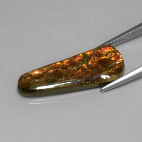 amolita Multicolor natural de 7.59 ct, Forma elegante, Opaco