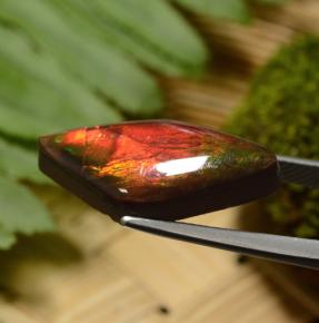 Ammolita multicolor natural de 8,14 ct, forma elegante, opaco