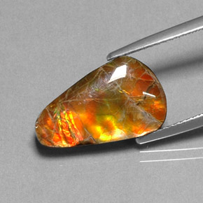 amolita Multicolor natural de 5.20 ct, Forma elegante, Opaco