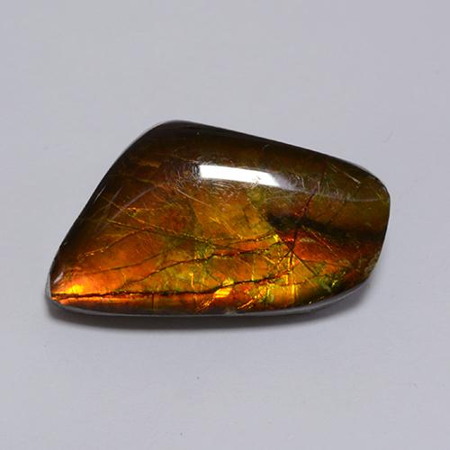 Ammolita multicolor natural de 8,62 ct, forma elegante, opaco