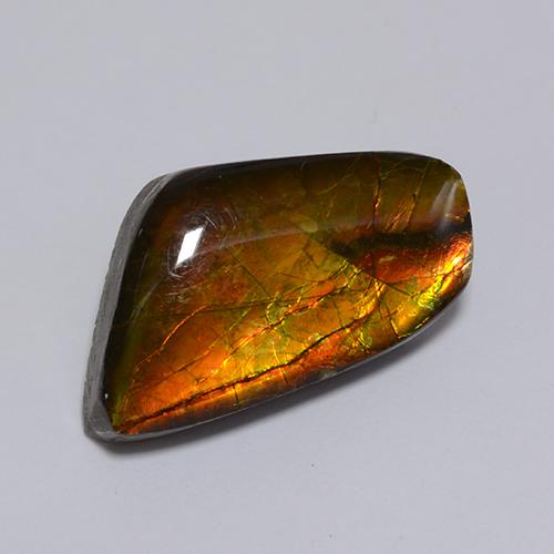 Ammolita multicolor natural de 8,62 ct, forma elegante, opaco