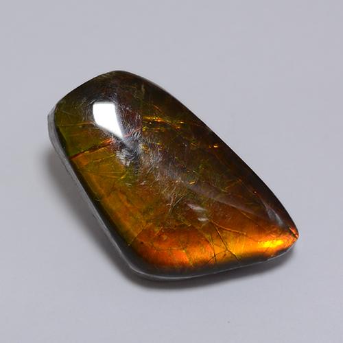 Ammolita multicolor natural de 8,62 ct, forma elegante, opaco