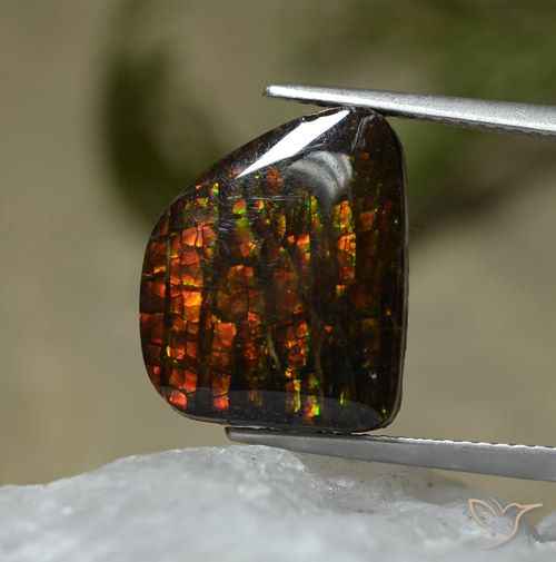 7.67ct Natural Multicolor amolita, Elegante, Opaco