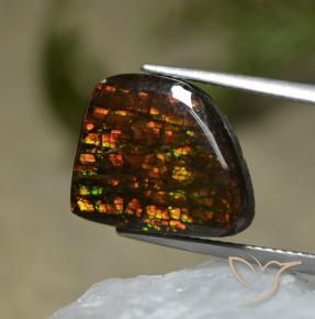 amolita Multicolor natural de 7.67 ct, Elegante, Opaco
