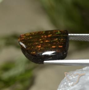 amolita Multicolor natural de 7.67 ct, Elegante, Opaco