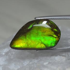 Ammolita multicolor natural de 9,88 ct, forma elegante, opaco