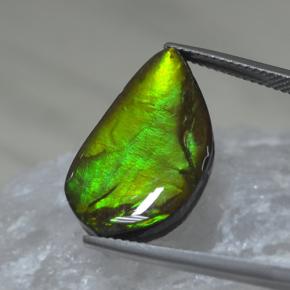 Ammolita multicolor natural de 9,88 ct, forma elegante, opaco