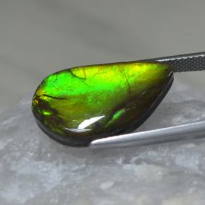 Ammolita multicolor natural de 9,88 ct, forma elegante, opaco