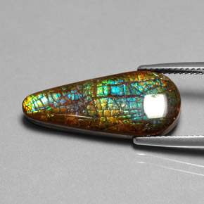 amolita Multicolor natural de 8.53 ct, En forma de pera, Opaco