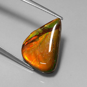 Ammolita multicolor natural de 7,22 ct, forma elegante, opaco