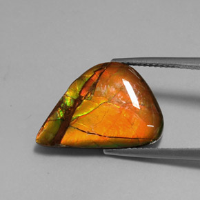 Ammolita multicolor natural de 7,22 ct, forma elegante, opaco