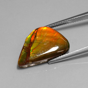 Ammolita multicolor natural de 7,22 ct, forma elegante, opaco