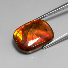 Ammolita multicolor natural de 14,17 ct, forma elegante, opaco